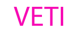 Veterans Elite Transitions Inc logo